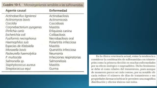 Antibióticos Sulfonamida Penicilina.pptx