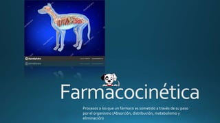 Procesos a los que un fármaco es sometido a través de su paso
por el organismo (Absorción, distribución, metabolismo y
eliminación)
 