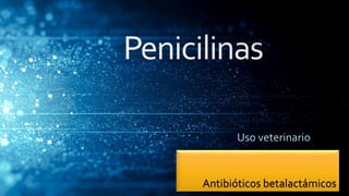Antibióticos betalactámicos
 