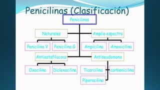 Antibióticos Sulfonamida Penicilina.pptx