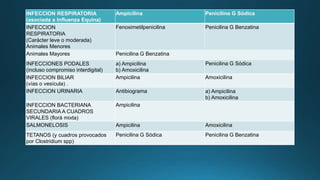 INFECCION RESPIRATORIA
(asociada a Influenza Equina)
Ampicilina Penicilina G Sódica
INFECCION
RESPIRATORIA
(Carácter leve o moderada)
Animales Menores
Fenoximetilpenicilina Penicilina G Benzatina
Animales Mayores Penicilina G Benzatina
INFECCIONES PODALES
(incluso compromiso interdigital)
a) Ampicilina
b) Amoxicilina
Penicilina G Sódica
INFECCION BILIAR
(vías o vesícula) .
Ampicilina Amoxicilina
INFECCION URINARIA Antibiograma a) Ampicilina
b) Amoxicilina
INFECCION BACTERIANA
SECUNDARIA A CUADROS
VIRALES (florá mixta)
Ampicilina
SALMONELOSIS Ampicilina Amoxicilina
TETANOS (y cuadros provocados
por Clostridium spp)
Penicilina G Sódica Penicilina G Benzatina
 