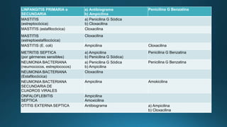 LINFANGITIS PRIMARIA o
SECUNDARIA
a) Antibiograma
b) Ampicilina
Penicilina G Benzatina
MASTITIS
(estreptocócica)
a) Penicilina G Sódica
b) Cloxacilina
MASTITIS (estafilocócica) Cloxacilina
MASTITIS
(estreptoestafilocócica)
Cloxacilina
MASTITIS (E. coli) Ampicilina Cloxacilina
METRITIS SEPTICA
(por gérmenes sensibles)
a) Ampicilina
b) Penicilina G Sódica)
Penicilina G Benzatina
NEUMONIA BACTERIANA
(neumococos, estreptococos)
a) Penicilina G Sódica
b) Ampicilina
Penicilina G Benzatina
NEUMONIA BACTERIANA
(Estafilocócica)
Cloxacilina
NEUMONIA BACTERIANA
SECUNDARIA DE
CUADROS VIRALES
Ampicilina Amokicilina
ONFALOFLEBITIS
SEPTICA
Ampicilina
Amoxicilina
OTITIS EXTERNA SEPTICA Antibiograma a) Ampicilina
b) Cloxacilina
 