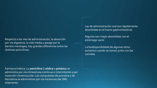 Respecto a las vías de administración, la absorción
por vía digestiva, la vida media y pasaje por la
barrera meníngea, hay grandes diferencias entre las
distintas penicilinas.
Las de administración oral son rápidamente
absorbidas en el tracto gastrointestinal.
Algunas son mejor absorbidas con el
estómago vacío
La biodisponibilidad de algunos otros
aumenta cuando se toman junto con las
comidas
Farmacocinética: La penicilina G sódica o potásica se
administra por vía intravenosa continua o intermitente o por
inyección intramuscular. Las compuestas de procaína y de
benzatina se administran por vía intramuscular (IM)
solamente.
 