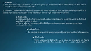 1. Absorción
a) Oral. Influencia del pH y alimentos: los autores sugieren que las penicilinas deben administrarse una hora antes o
dos a tres después de la toma de alimentos.
b) Parenteral. La administración intramuscular da lugar a niveles plasmáticos altos, de aparición rápida, excepto en el
caso de algunas sales en las que los niveles plasmáticos son más bajos pero de mayor duración.
2. Distribución
a)Tejidos y cavidades. Alcanza niveles adecuados en líquido pleural, pericárdico y sinovial. Su llegada
a cavidades oculares es pobre.
b) Paso de la barrera hematoencefálica. Débil con meninges normales. Mejora en presencia de
meninges inflamadas.
3. Metabolismo
• La mayoría de las penicilinas apenas sufre biotransformación en el organismo.
4. Eliminación
• Tiene lugar primordialmente por el riñón en gran parte en forma
activa, por filtración glomerular (10%), por secreción tubular (90%).
 