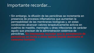 • Sin embargo, la difusión de las penicilinas se incrementa en
presencia de procesos inflamatorios que aumentan la
permeabilidad de las membranas biológicas y, en estas
condiciones alcanzan valores terapéuticamente activos en
cuadros de mastitis, meningitis u otras infecciones de carácter
agudo que precisan de la administración sistémica de
penicilinas. Es interesante recordar que la persistencia de
penicilinas en leche u otros tejidos impide destinarla al
consumo humano.
 