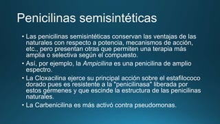 Penicilinas semisintéticas
• Las penicilinas semisintéticas conservan las ventajas de las
naturales con respecto a potencia, mecanismos de acción,
etc., pero presentan otras que permiten una terapia más
amplia o selectiva según el compuesto.
• Así, por ejemplo, la Ampicilina es una penicilina de amplio
espectro.
• La Cloxacilina ejerce su principal acción sobre el estafilococo
dorado pues es resistente a la "penicilinasa" liberada por
estos gérmenes y que escinde la estructura de las penicilinas
naturales.
• La Carbenicilina es más activó contra pseudomonas.
 