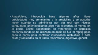 Antibióticos Sulfonamida Penicilina.pptx