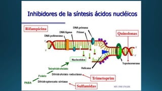 Antibióticos Sulfonamida Penicilina.pptx