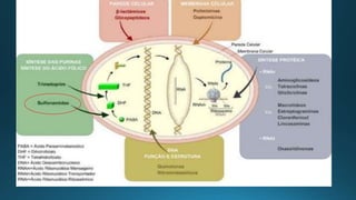 Antibióticos Sulfonamida Penicilina.pptx