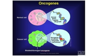 1 Antineoplastic agents.pdf Introduction, Classification | PDF