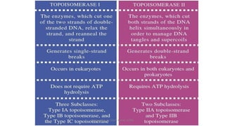 1 Antineoplastic agents.pdf Introduction, Classification | PDF
