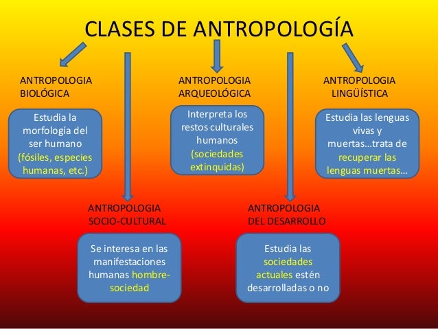 la antropología filosófica de luis miguel