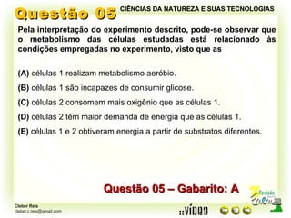 Questão 05 Pela interpretação do experimento descrito, pode-se observar que o metabolismo das células estudadas está relacionado às condições empregadas no experimento, visto que as (A)  células 1 realizam metabolismo aeróbio. (B)  células 1 são incapazes de consumir glicose. (C)  células 2 consomem mais oxigênio que as células 1. (D)  células 2 têm maior demanda de energia que as células 1. (E)  células 1 e 2 obtiveram energia a partir de substratos diferentes. Questão 05 – Gabarito: A CIÊNCIAS DA NATUREZA E SUAS TECNOLOGIAS 