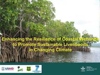 Enhancing the Resilience of Coastal Wetlands
to Promote Sustainable Livelihoods
in Changing Climate
 