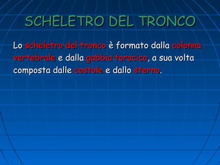 SCHELETRO DEL TRONCO
Lo scheletro del tronco è formato dalla colonna
vertebrale e dalla gabbia toracica, a sua volta
composta dalle costole e dallo sterno.

 