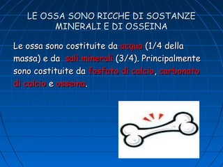 LE OSSA SONO RICCHE DI SOSTANZE
MINERALI E DI OSSEINA
Le ossa sono costituite da acqua (1/4 della
massa) e da sali minerali (3/4). Principalmente
sono costituite da fosfato di calcio, carbonato
di calcio e osseina.

 