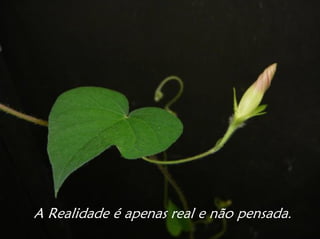 A Realidade é apenas real e não pensada.
 
