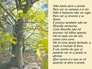 Não basta abrir a janela
Para ver os campos e o rio.
Não é bastante não ser cego
Para ver as árvores e as
flores.
É preciso também não ter
filosofia nenhuma.
Com filosofia não há
árvores: há idéias apenas.
Há só cada um de nós,
como uma cave.
Há só uma janela fechada, e
todo o mundo lá fora;
E um sonho do que se
poderia ver se a janela se
abrisse,
Que nunca é o que se vê
quando se abre a janela
 