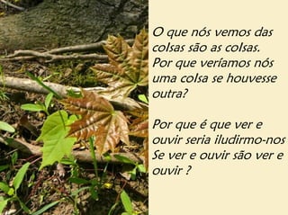 O que nós vemos das
coIsas são as coIsas.
Por que veríamos nós
uma coIsa se houvesse
outra?

Por que é que ver e
ouvir seria iludirmo-nos
Se ver e ouvir são ver e
ouvir ?
 