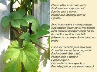 O meu olhar azul como o céu
É calmo como a água ao sol.
É assim, azul e calmo,
Porque não interroga nem se
espanta...

Se eu interrogasse e me espantasse
Não nasciam flores novas nos prados
Nem mudaria qualquer cousa no sol
de modo a ele ficar mais belo.
(Mesmo se nascessem flores novas no
prado

E se o sol mudasse para mais belo,
Eu sentiria menos flores no prado
E achava mais feio o sol...
Porque tudo é como é
E assim é que é,
E eu aceito, e nem agradeço.
Para não parecer que penso nisso...)
 