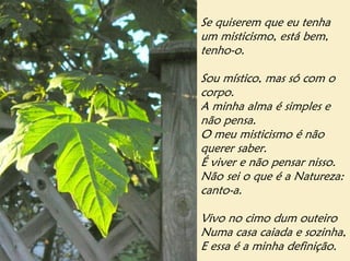 Se quiserem que eu tenha
um misticismo, está bem,
tenho-o.

Sou místico, mas só com o
corpo.
A minha alma é simples e
não pensa.
O meu misticismo é não
querer saber.
É viver e não pensar nisso.
Não sei o que é a Natureza:
canto-a.

Vivo no cimo dum outeiro
Numa casa caiada e sozinha,
E essa é a minha definição.
 
