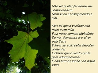 Não sei se elas (as flores) me
compreendem
Nem se eu as compreendo a
elas,

Mas sei que a verdade está
nelas e em mim
E na nossa comum divindade
De nos deixarmos ir e viver
pela Terra
E levar ao colo pelas Estações
contentes
E deixar que o vento cante
para adormecermos
E não termos sonhos no nosso
sono.
 