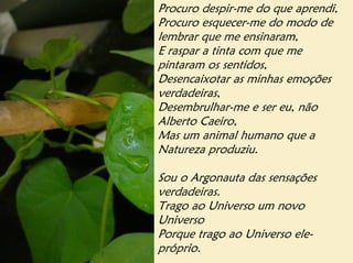 Procuro despir-me do que aprendi,
Procuro esquecer-me do modo de
lembrar que me ensinaram,
E raspar a tinta com que me
pintaram os sentidos,
Desencaixotar as minhas emoções
verdadeiras,
Desembrulhar-me e ser eu, não
Alberto Caeiro,
Mas um animal humano que a
Natureza produziu.

Sou o Argonauta das sensações
verdadeiras.
Trago ao Universo um novo
Universo
Porque trago ao Universo ele-
próprio.
 