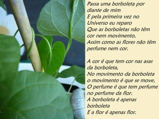 Passa uma borboleta por
diante de mim
E pela primeira vez no
Universo eu reparo
Que as borboletas não têm
cor nem movimento,
Assim como as flores não têm
perfume nem cor.

A cor é que tem cor nas asas
da borboleta,
No movimento da borboleta
o movimento é que se move,
O perfume é que tem perfume
no perfume da flor.
A borboleta é apenas
borboleta
E a flor é apenas flor.
 