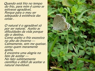Quando está frio no tempo
do frio, para mim é como se
estivesse agradável,
Porque para o meu ser
adequado à existência das
coisas .

O natural é o agradável só
por ser natural. Aceito as
dificuldades da vida porque
são o destino,
Como aceito o frio excessivo
no alto do Inverno —
Calmamente, sem me queixar,
como quem meramente
aceita,
E encontra uma alegria no
fato de aceitar —
No fato sublimemente
científico e difícil de aceitar o
natural inevitável.
 