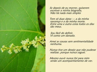 Se depois de eu morrer, quiserem
escrever a minha biografia,
Não há nada mais simples

Tem só duas datas — a da minha
nascença e a da minha morte.
Entre uma e outra coisa todos os dias
são meus.

Sou fácil de definir.
Vi como um danado.

Amei as cousas sem sentimentalidade
nenhuma.

Nunca tive um desejo que não pudesse
realizar, porque nunca ceguei.

Mesmo ouvir nunca foi para mim
senão um acompanhamento de ver.
 