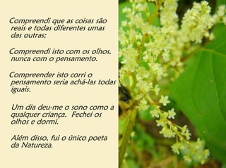 Compreendi que as coisas são
reais e todas diferentes umas
das outras;

Compreendi isto com os olhos,
nunca com o pensamento.

Compreender isto corri o
pensamento seria achá-las todas
iguais.

Um dia deu-me o sono como a
qualquer criança. Fechei os
olhos e dormi.

Além disso, fui o único poeta
da Natureza.
 