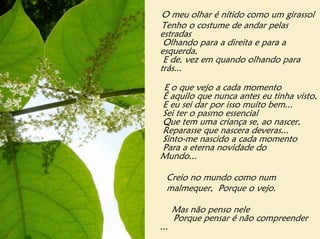 O meu olhar é nítido como um girassol
Tenho o costume de andar pelas
estradas
 Olhando para a direita e para a
esquerda,
 E de, vez em quando olhando para
trás...

E o que vejo a cada momento
É aquilo que nunca antes eu tinha visto,
E eu sei dar por isso muito bem...
Sei ter o pasmo essencial
Que tem uma criança se, ao nascer,
Reparasse que nascera deveras...
Sinto-me nascido a cada momento
Para a eterna novidade do
Mundo...

  Creio no mundo como num
  malmequer, Porque o vejo.

      Mas não penso nele
      Porque pensar é não compreender
...
 