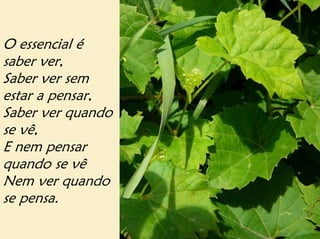 O essencial é
saber ver,
Saber ver sem
estar a pensar,
Saber ver quando
se vê,
E nem pensar
quando se vê
Nem ver quando
se pensa.
 