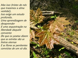 Mas isso (tristes de nós
que trazemos a alma
vestida!),
Isso exige um estudo
profundo,
Uma aprendizagem de
desaprender
E uma sequestração na
liberdade daquele
convento
De que os poetas dizem
que as estrelas são as
freiras eternas
E as flores as penitentes
convictas de um só dia.
 