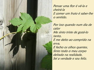Pensar uma flor é vê-la e
cheirá-la
E comer um fruto é saber-lhe
o sentido.

Por isso quando num dia de
calor
Me sinto triste de gozá-lo
tanto,
E me deito ao comprido na
erva,
E fecho os olhos quentes,
Sinto todo o meu corpo
deitado na realidade,
Sei a verdade e sou feliz.
 