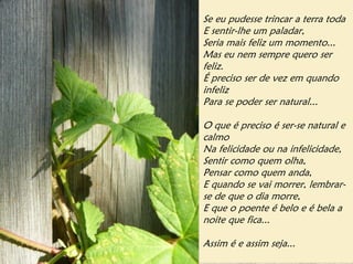 Se eu pudesse trincar a terra toda
E sentir-lhe um paladar,
Seria mais feliz um momento...
Mas eu nem sempre quero ser
feliz.
É preciso ser de vez em quando
infeliz
Para se poder ser natural...

O que é preciso é ser-se natural e
calmo
Na felicidade ou na infelicidade,
Sentir como quem olha,
Pensar como quem anda,
E quando se vai morrer, lembrar-
se de que o dia morre,
E que o poente é belo e é bela a
noite que fica...

Assim é e assim seja...
 