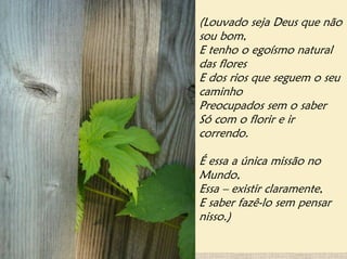 (Louvado seja Deus que não
sou bom,
E tenho o egoísmo natural
das flores
E dos rios que seguem o seu
caminho
Preocupados sem o saber
Só com o florir e ir
correndo.

É essa a única missão no
Mundo,
Essa – existir claramente,
E saber fazê-lo sem pensar
nisso.)
 