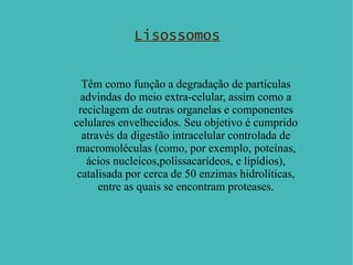 Lisossomos Têm como função a degradação de partículas advindas do meio extra-celular, assim como a reciclagem de outras organelas e componentes celulares envelhecidos. Seu objetivo é cumprido através da digestão intracelular controlada de macromoléculas (como, por exemplo, poteínas, ácios nucleicos,polissacarídeos, e lipídios), catalisada por cerca de 50 enzimas hidrolíticas, entre as quais se encontram proteases. 