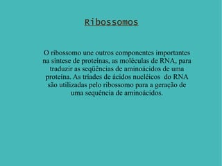 Ribossomos O ribossomo une outros componentes importantes na síntese de proteínas, as moléculas de RNA, para traduzir as seqüências de aminoácidos de uma proteína. As tríades de ácidos nucléicos  do RNA são utilizadas pelo ribossomo para a geração de uma sequência de aminoácidos. 