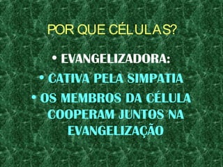 POR QUE CÉLULAS?
• EVANGELIZADORA:
• CATIVA PELA SIMPATIA
• OS MEMBROS DA CÉLULA
COOPERAM JUNTOS NA
EVANGELIZAÇÃO
 