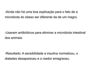 -Ainda não ha uma boa explicação para o fato de a 
microbiota do obeso ser diferente da de um magro. 
-Usaram antibioticos para eliminar a microbiota intestinal 
dos animais. 
-Resultado: A sensibilidade a insulina normalizou, o 
diabetes desapareceu e o roedor emagreceu. 
 