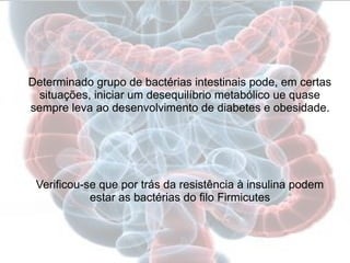 Determinado grupo de bacterias intestinais pode, em certas 
situaçoes, iniciar um desequilibrio metabolico ue quase 
sempre leva ao desenvolvimento de diabetes e obesidade. 
Verificou-se que por tras da resistencia a insulina podem 
estar as bacterias do filo Firmicutes 
 