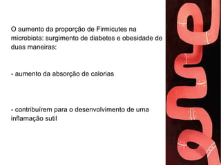 O aumento da proporção de Firmicutes na 
microbiota: surgimento de diabetes e obesidade de 
duas maneiras: 
- aumento da absorção de calorias 
- contribuirem para o desenvolvimento de uma 
inflamação sutil 
 