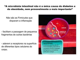 “A microbiota intestinal nao e a unica causa do diabetes e 
da obesidade, nem provavelmente a mais importante” 
Não são as Firmicutes que 
disparam a inflamação 
- facilitam a passagem de pequenos 
fragmentos de outras bacterias 
- aderem a receptores na superficie 
de diferentes tipos celulares do 
corpo. 
 