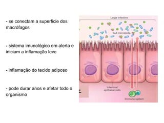 - se conectam a superficie dos 
macrofagos 
- sistema imunologico em alerta e 
iniciam a inflamação leve 
- inflamação do tecido adiposo 
- pode durar anos e afetar todo o 
organismo 
 