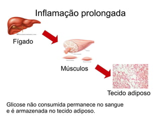 Inflamação prolongada 
Figado 
Musculos 
Tecido adiposo 
Glicose não consumida permanece no sangue 
e e armazenada no tecido adiposo. 
 