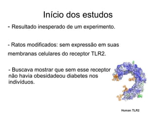 Inicio dos estudos 
- Resultado inesperado de um experimento. 
- Ratos modificados: sem expressão em suas 
membranas celulares do receptor TLR2. 
- Buscava mostrar que sem esse receptor 
não havia obesidadeou diabetes nos 
individuos. 
 