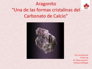 Aragonito
“Una de las formas cristalinas del
Carbonato de Calcio”
Pilar Lara Martínez
1º Bach (B)
IES “Pedro Espinosa”
Antequera (Málaga)
 