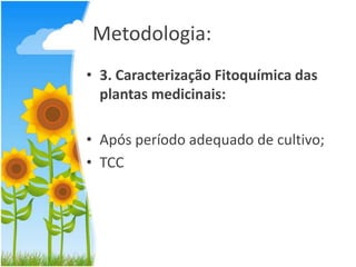 Metodologia:
• 3. Caracterização Fitoquímica das
plantas medicinais:
• Após período adequado de cultivo;
• TCC

 