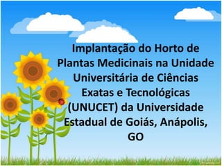 Implantação do Horto de
Plantas Medicinais na Unidade
Universitária de Ciências
Exatas e Tecnológicas
(UNUCET) da Universidade
Estadual de Goiás, Anápolis,
GO

 